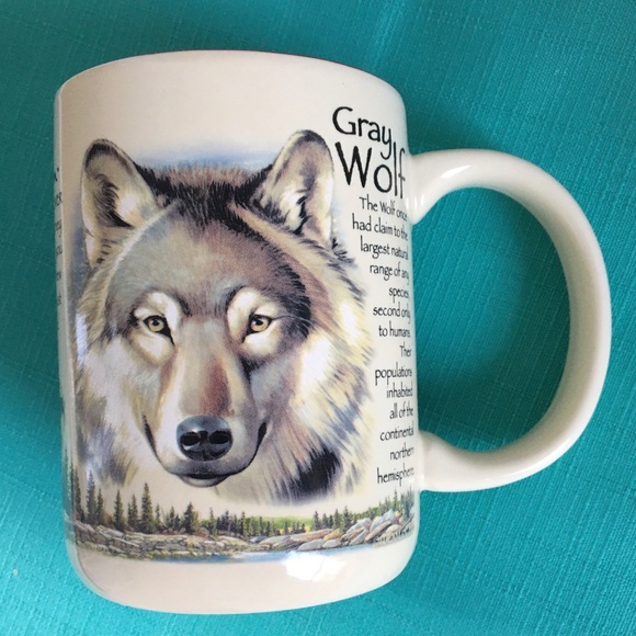American Expedition Dining Gray Wolf American Expedition Coffee Mug Cup Poshmark